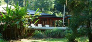 Hotel with lawn chairs and pool surrounded by trees and rainforest vegetation.
