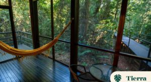 Hotel room interior looking out through windows at a rainforest.
