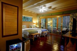 Hotel room with bed, refrigerator, television stand, and glass doors opening to the rainforest.