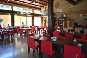 Enjoy delicious meals at Hotel Yvy’s dining area in the heart of the rainforest.