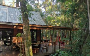 Building with a deck in a rainforest featuring hammocks and chairs.