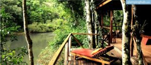 Glamping cabins in Argentina with a deck, lawn chairs, and river surrounded by rainforest.
