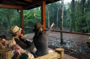 Two people sitting outside at a hotel looking at the rainforest.