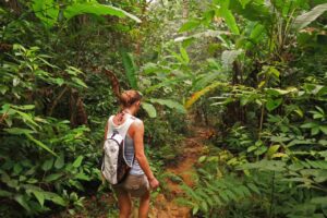 Person wearing a backpack walking along a narrow path through a dense tropical rainforest in South America, surrounded by lush green vegetation.