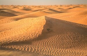 Sweeping Sahara Desert sand dunes under a bright sun with a camel caravan in the distance