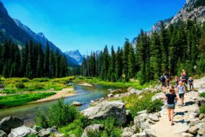 Several people hiking through a canyon with lush green forest vegetation, a creek running alongside the trail, and mountains visible in the distance under a clear sky.