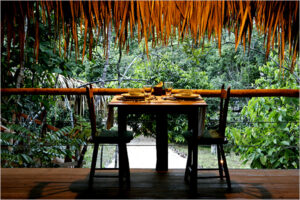 Rainforest Dining in Amazon Rainforest – Immersive Jungle Experience