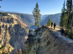 Hikers enjoying a scenic trail overlooking the Grand Canyon of the Yellowstone with towering canyon walls, evergreen forests, and breathtaking mountain landscapes in Yellowstone National Park.