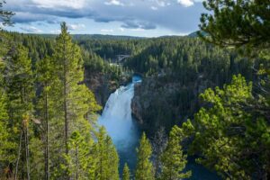 Waterfall flowing through a forest in Yellowstone National Park surrounded by trees and lush green landscape