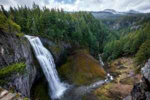 The Ultimate Yellowstone National Park Guide: Valleys, Lakes, Yellowstone River & waterfalls 7 Tower Fall cascades into a rocky canyon surrounded by dense evergreen forests and rugged mountain scenery in Yellowstone National Park.