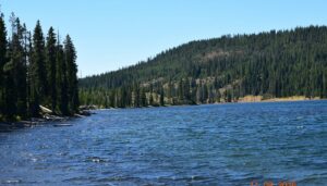 The Ultimate Yellowstone National Park Guide: Valleys, Lakes, Yellowstone River & waterfalls 4 Peaceful forest-lined lake with clear blue water and evergreen-covered hills in Yellowstone National Park on a sunny summer day.