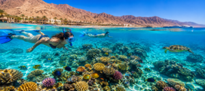 Snorkeling in Egypt’s Red Sea with colorful coral reefs, tropical fish, a sea turtle, crystal-clear turquoise water, and desert mountains along the coast.