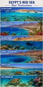 Tall collage of Egypt’s Red Sea destinations featuring Giftun Islands, Sharm El Sheikh, Ras Mohammed National Park, Dahab Blue Hole, Marsa Alam, and Abu Dabbab Bay.