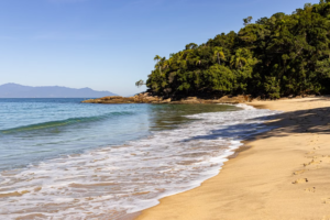 🏝️ Ilha Grande – Beaches, Rainforest Trails, Kayaking & Island Adventures 5 Lopes Mendes Beach on Ilha Grande, Brazil, with golden sand, gentle ocean waves, and lush tropical rainforest along the coastline.