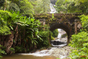 Rio’s Beaches, Coastal Trails & Outdoor Adventures 10 Cascading waterfall flowing beneath a historic stone bridge surrounded by lush tropical vegetation in Tijuca National Park, Rio de Janeiro.