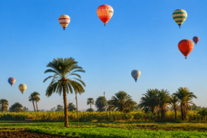 Colorful hot air balloons floating above green farmland and palm trees in the Nile Valley near Luxor, Egypt.