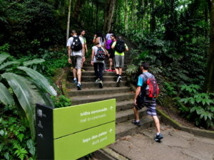 Hikers climbing stone steps along the Corcovado trail through lush tropical rainforest in Rio de Janeiro, with a trail sign pointing toward Corcovado.