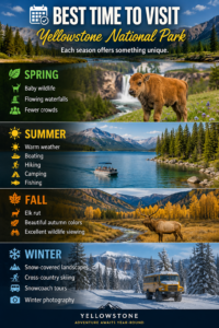 Tall seasonal guide showing the best time to visit Yellowstone National Park with spring, summer, fall, and winter landscapes featuring baby wildlife, mountain lakes, autumn elk, snowy scenery, and year-round outdoor adventures.