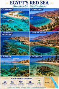 Collage of Egypt’s Red Sea destinations featuring Giftun Islands, Sharm El Sheikh, Ras Mohammed National Park, Dahab Blue Hole, Marsa Alam, and Abu Dabbab Bay.