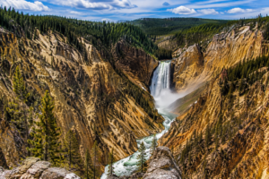 Panoramic view of Lower Falls cascading into the Grand Canyon of the Yellowstone with colorful canyon walls, the Yellowstone River, evergreen forests, and breathtaking mountain scenery in Yellowstone National Park.