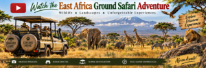 🦁 East Africa Ground Safaris – 4×4 Game Drives, Walking Safaris & Wildlife Adventures 2 East Africa ground safari with travelers in a safari jeep viewing elephants, giraffes, zebras, lion, and other wildlife across a scenic savanna landscape.