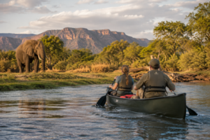 https://chatgpt.com/c/6a979bfd-8dc4-83ea-9c58-f4ed96d6d153#:~:text=Canoe%20safari%20on%20the%20Zambezi%20River%20with%20two%20travelers%20paddling%20past%20an%20African%20elephant%20along%20the%20riverbank.