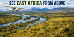 Aerial safari over East Africa with a small plane flying above wildlife herds, elephants, winding rivers, savanna, mountains, safari camps, and 4×4 vehicles.