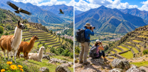 ⛰️ Pisac Ruins, Market & Sacred Valley Adventure 4 Two-image collage showing llamas and alpacas overlooking Pisac terraces and Andean mountains alongside travelers photographing the ruins and Sacred Valley scenery.