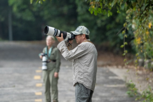 🚙 West & Central Africa Ground Safaris – 4×4 Adventures, Walking Safaris & Wildlife Exploration 11 Birdwatchers using telephoto cameras to photograph wildlife during a ground safari