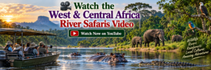 🌊 West & Central Africa River Safaris – Wildlife, Boat Adventures & Scenic Waterways 2 West and Central Africa river safari video featuring travelers in a safari boat, hippos in the river, elephants along the rainforest shoreline, crocodiles, tropical birds, and scenic African waterways.