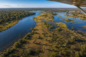 Southern Africa Aerial Safaris – Scenic Flights, Helicopters & Wildlife from Above 9 Aerial view of the Chobe River in Botswana showing elephants along the floodplain, winding waterways, islands, wetlands and surrounding wilderness.