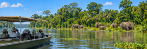 🌊 West & Central Africa River Safaris – Wildlife, Boat Adventures & Scenic Waterways 1 West and Central Africa river safari with travelers in a safari boat watching elephants along a lush tropical riverbank under a clear blue sky.