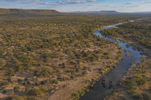 Aerial view of South African safari wilderness showing elephants gathered near a winding river, bushveld and distant mountain landscapes.