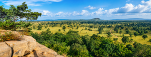 Panoramic view of Lopé National Park with tropical forest, open savanna and distant hills in Gabon