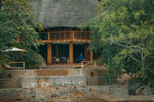 🦍 African Gorilla Trekking & Wildlife Adventures 12 Safari-style forest lodge surrounded by lush trees and vegetation, representing accommodations for African gorilla trekking and wildlife adventures.