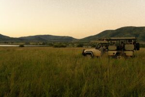 4×4 safari vehicle in open grasslands with rolling hills during a Southern Africa ground safari.